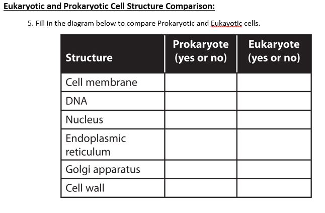 Solved Eukaryotic and Prokaryotic Cell Structure Comparison: | Chegg.com