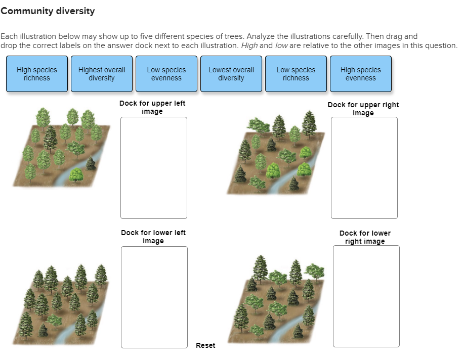 What Is Species Diversity Index