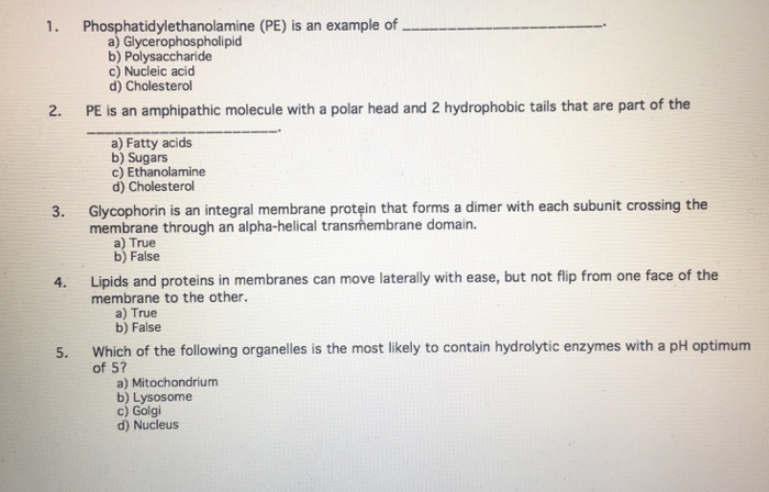 Solved 1. Phosphatidylethanolamine (PE) is an example of a) | Chegg.com