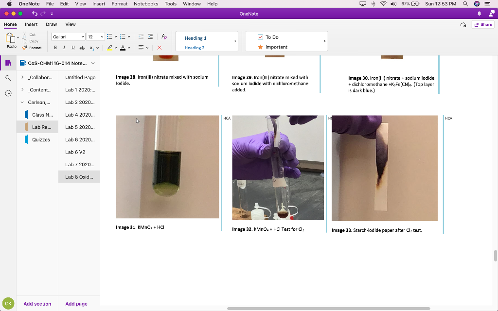 OneNote File Edit View Insert Format Notebooks Tools | Chegg.com