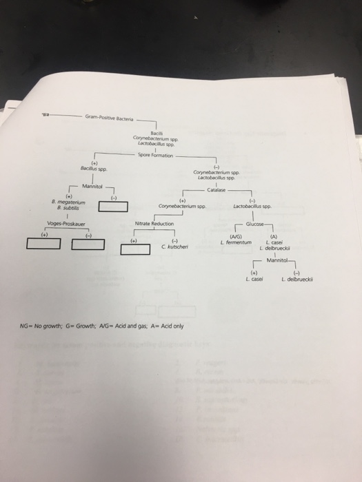 Solved Complete the diagnostic keys Investigate | Chegg.com