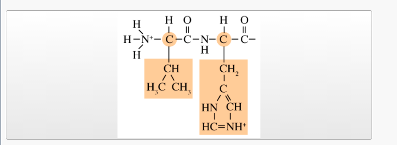 Solved Match each image to the type of biological | Chegg.com