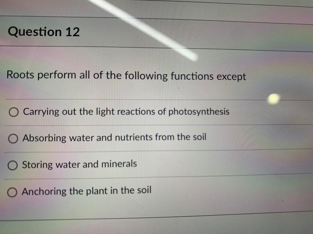 Solved Question 12 Roots perform all of the following | Chegg.com