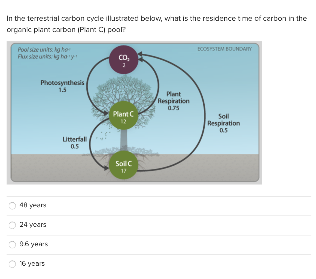 carbon-residence-time-dominates-uncertainty-in-terrestrial-vegetation