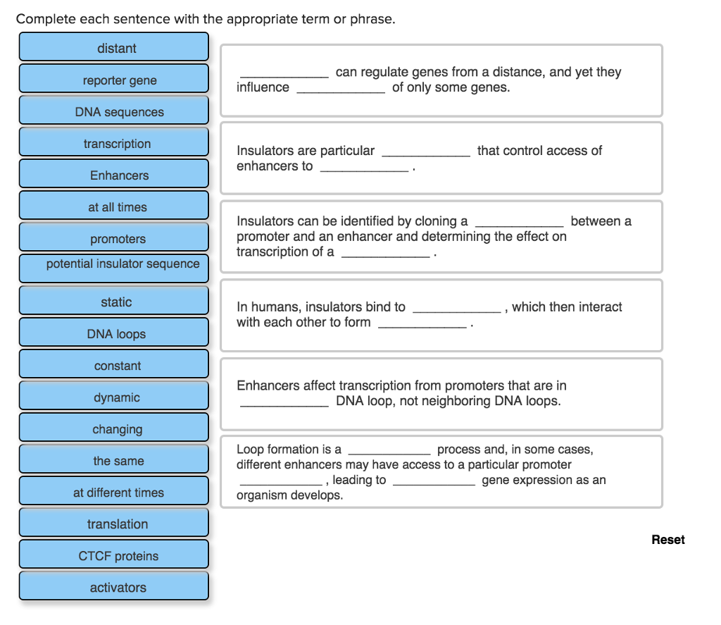 Solved Complete each sentence with the appropriate term or | Chegg.com