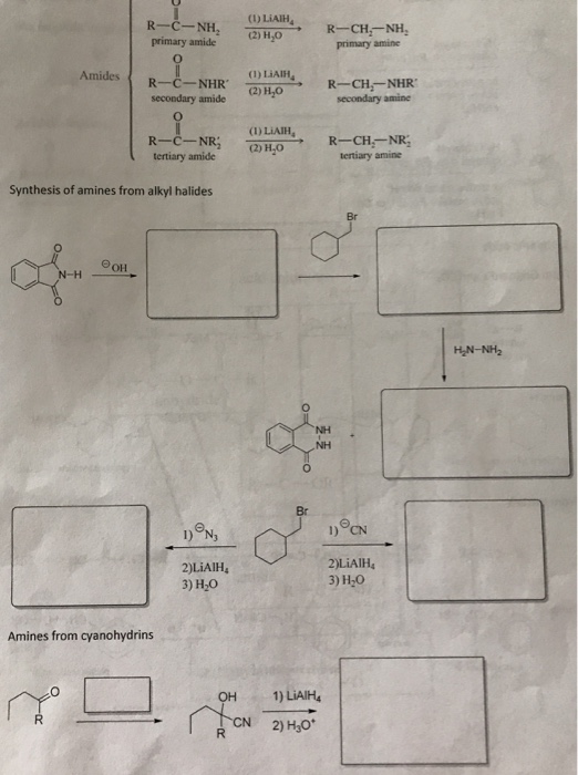 Solved Organic Chemistry Synthesis of amines from | Chegg.com