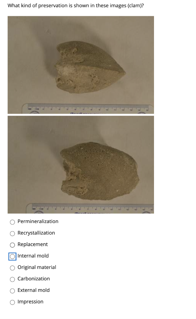 Solved What kind of preservation is shown in this image | Chegg.com