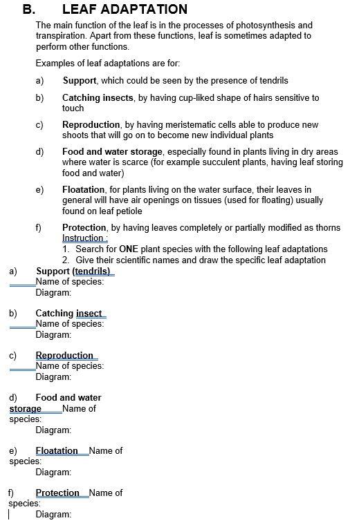 Solved B. LEAF ADAPTATION The Main Function Of The Leaf Is | Chegg.com