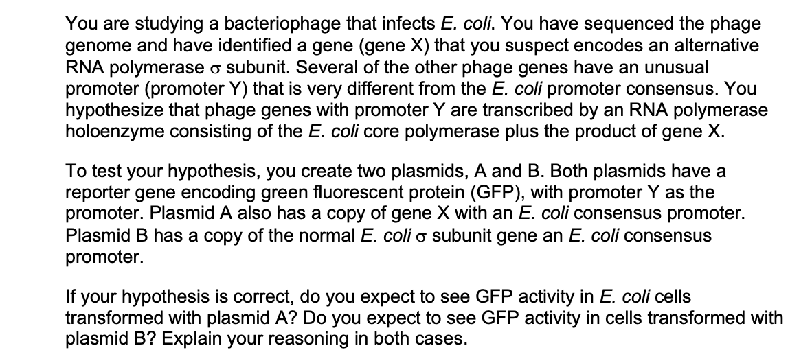 Solved You are studying a bacteriophage that infects E. | Chegg.com