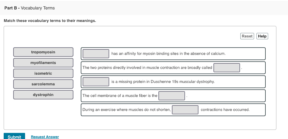Solved: Part B - Vocabulary Terms Match These Vocabulary T&hellip; | Chegg.com