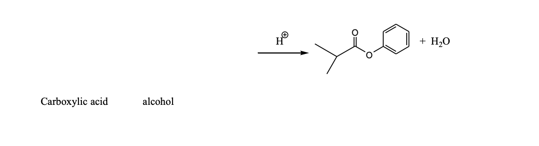 Solved O= 0 + H2O Carboxylic acid alcohol | Chegg.com