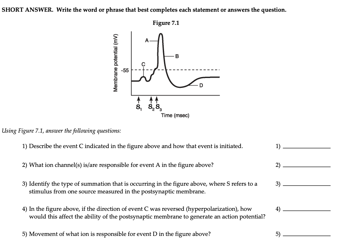 What is never eaten before lunch picture