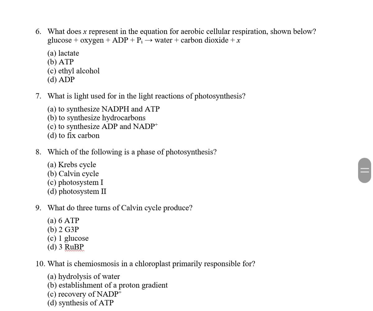 Solved 6 What Does X Represent In The Equation For Aerobic Chegg