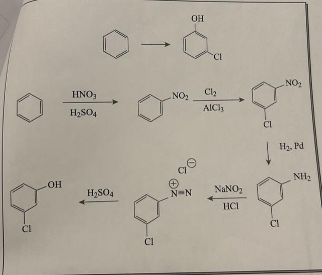 Solved H2SO4HNO3→ | Chegg.com