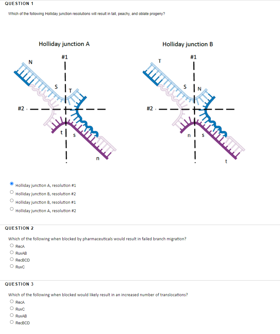 Solved Hi please answer these three questions below. These | Chegg.com
