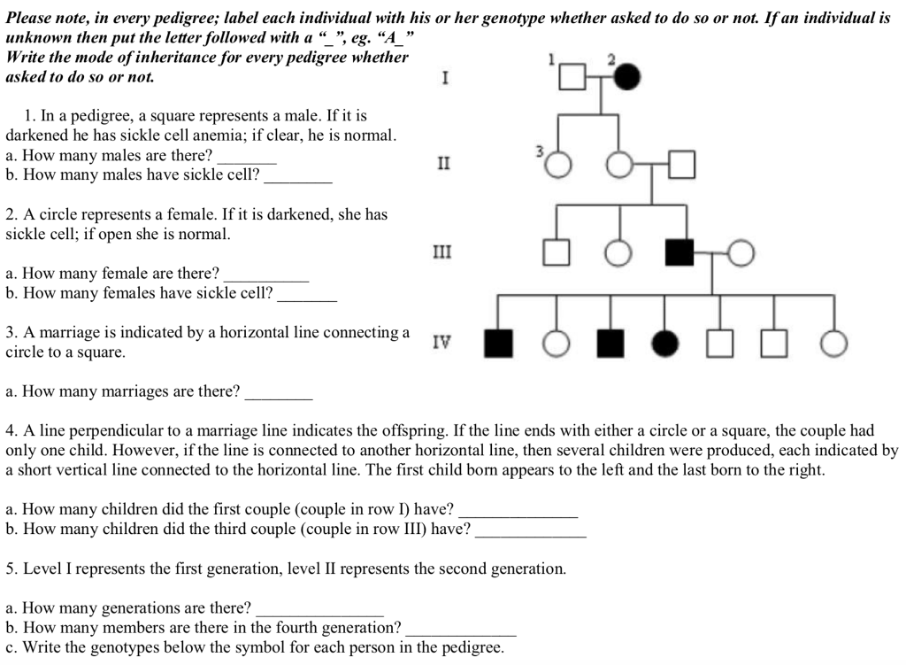 Solved Please note in every pedigree label each individual