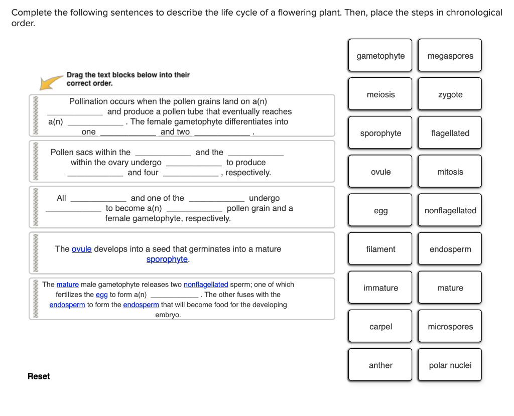 Cycle Sample Sentences