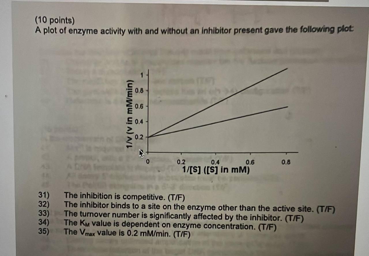 Solved (10 points) A plot of enzyme activity with and | Chegg.com