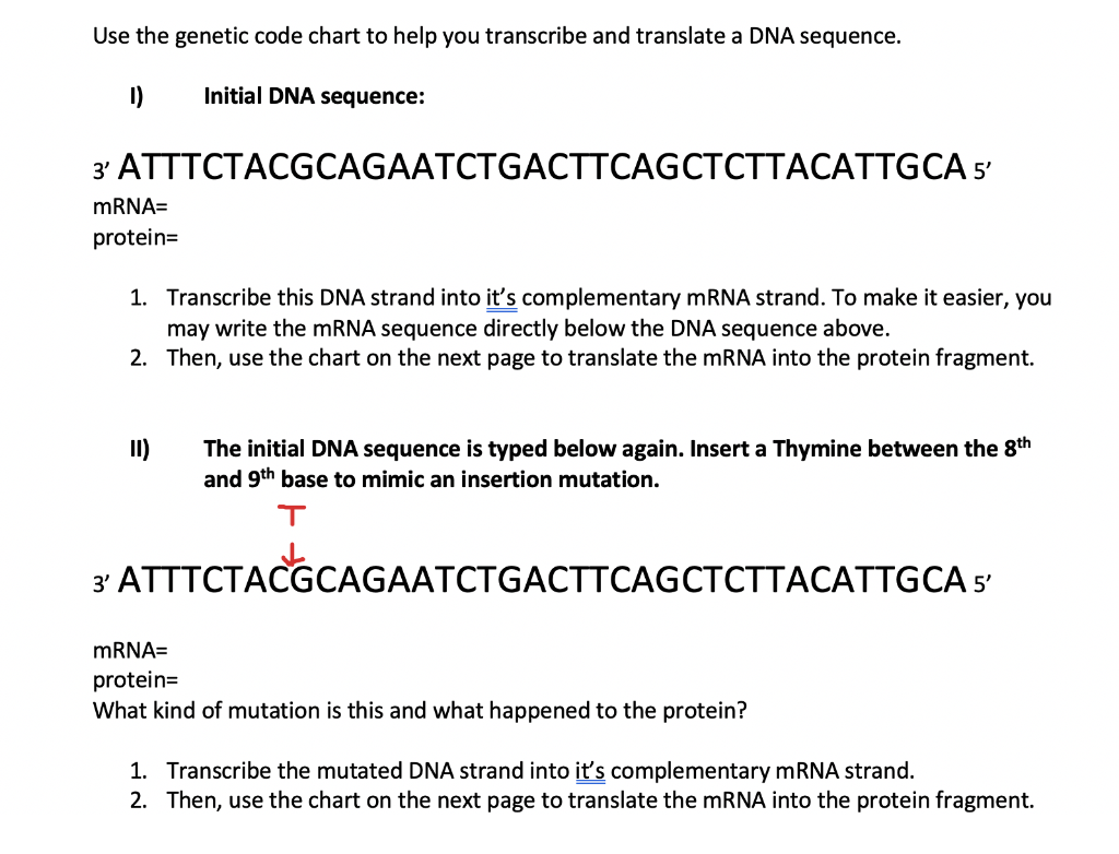 essay questions on genetic code