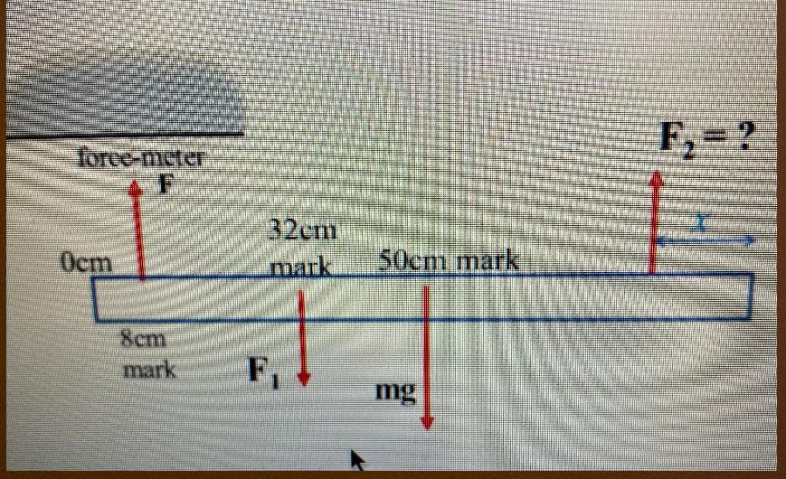 Solved Static Equilibrium Haning Stick As shown in the