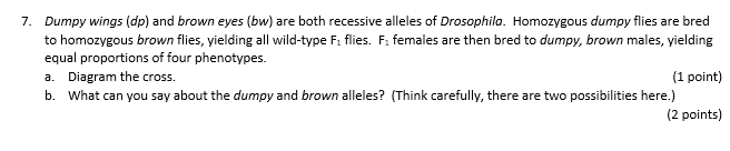 7. Dumpy wings \( (d p) \) and brown eyes (bw) are both recessive alleles of Drosophila. Homozygous dumpy flies are bred to h