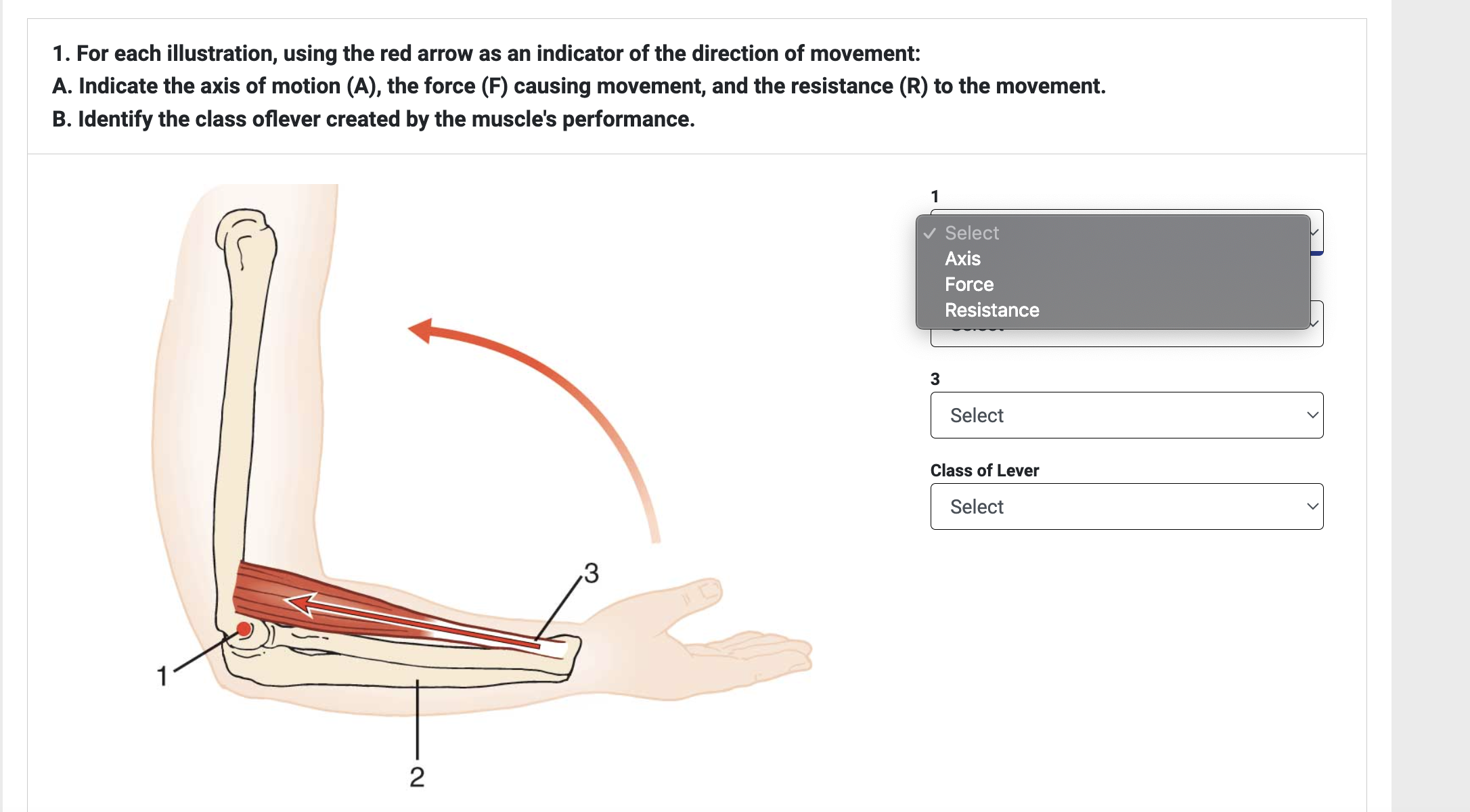 Solved For each illustration, using the red arrow as an | Chegg.com