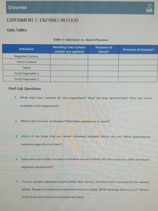experiment 1 enzymes in food