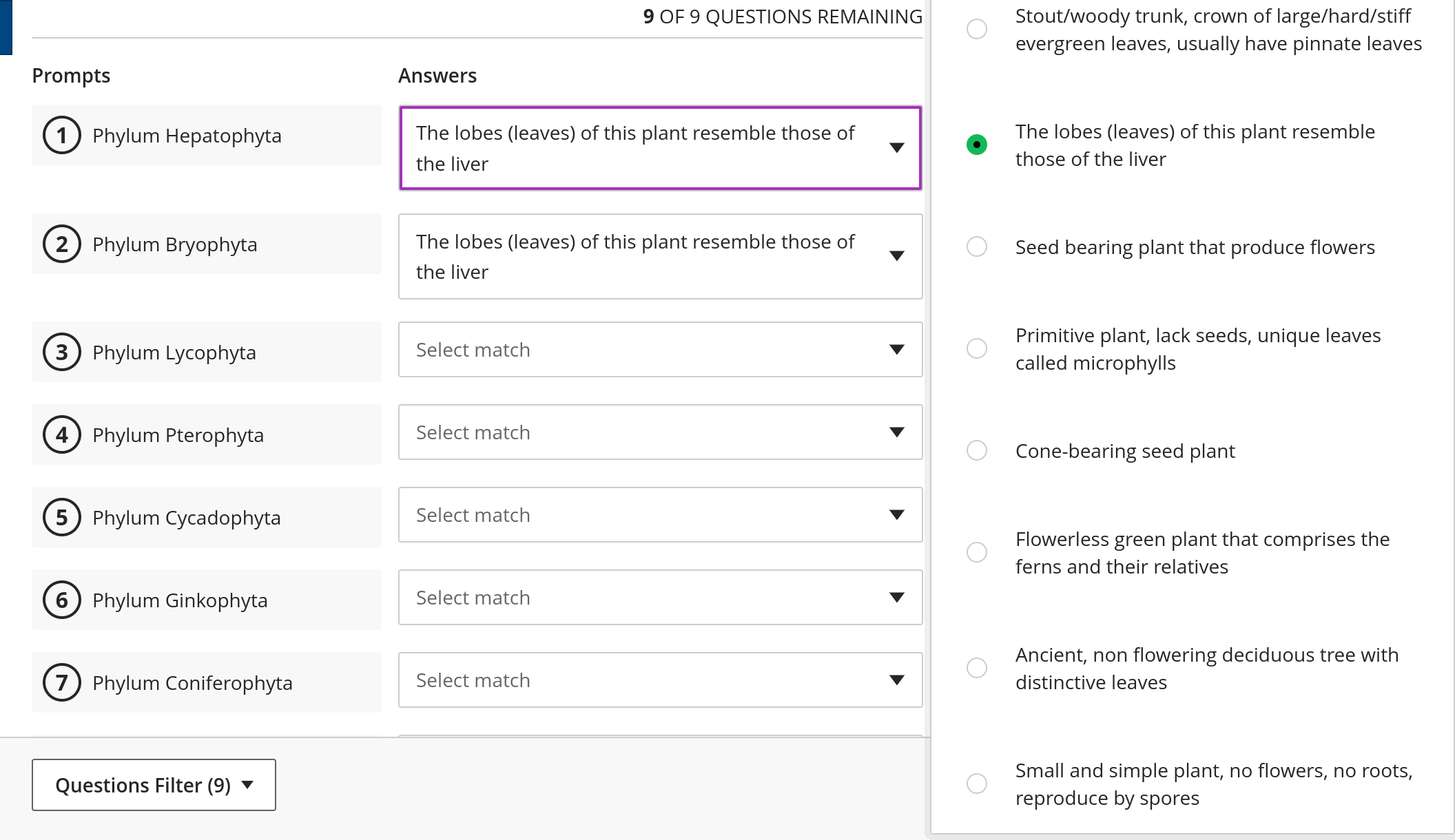 Match The Characteristics To The Correct Phylum.