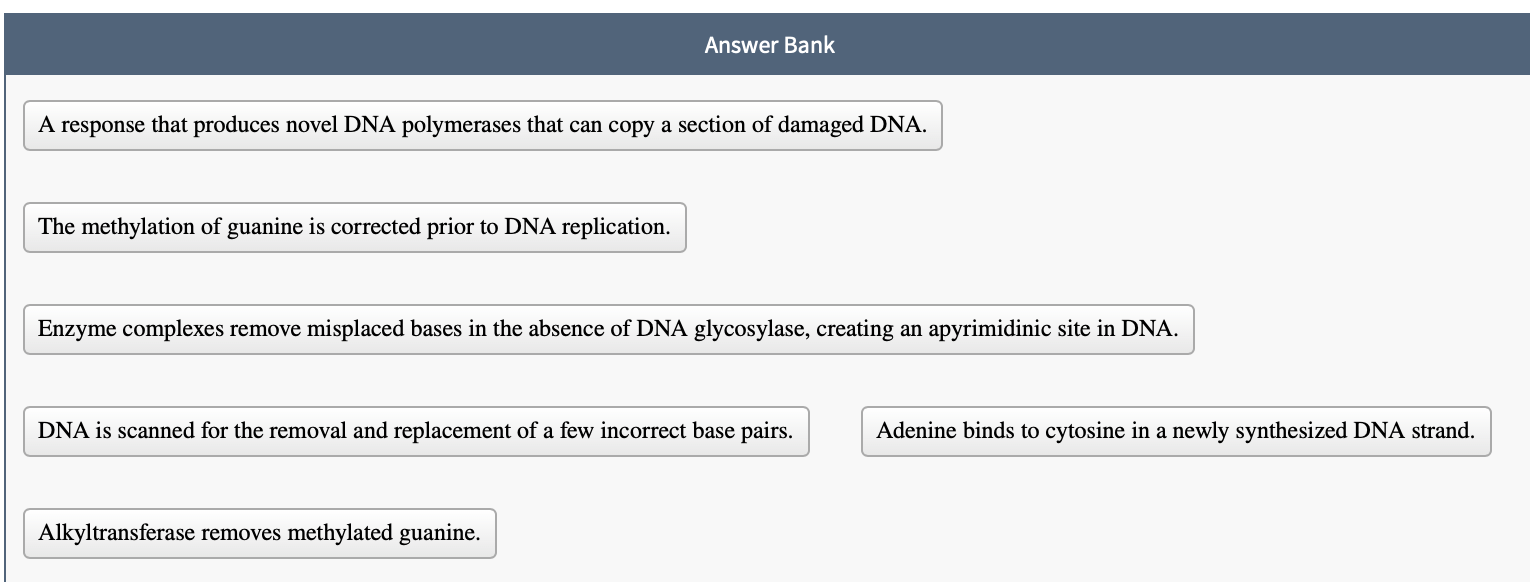 Solved Match the statements with the correct types of DNA | Chegg.com
