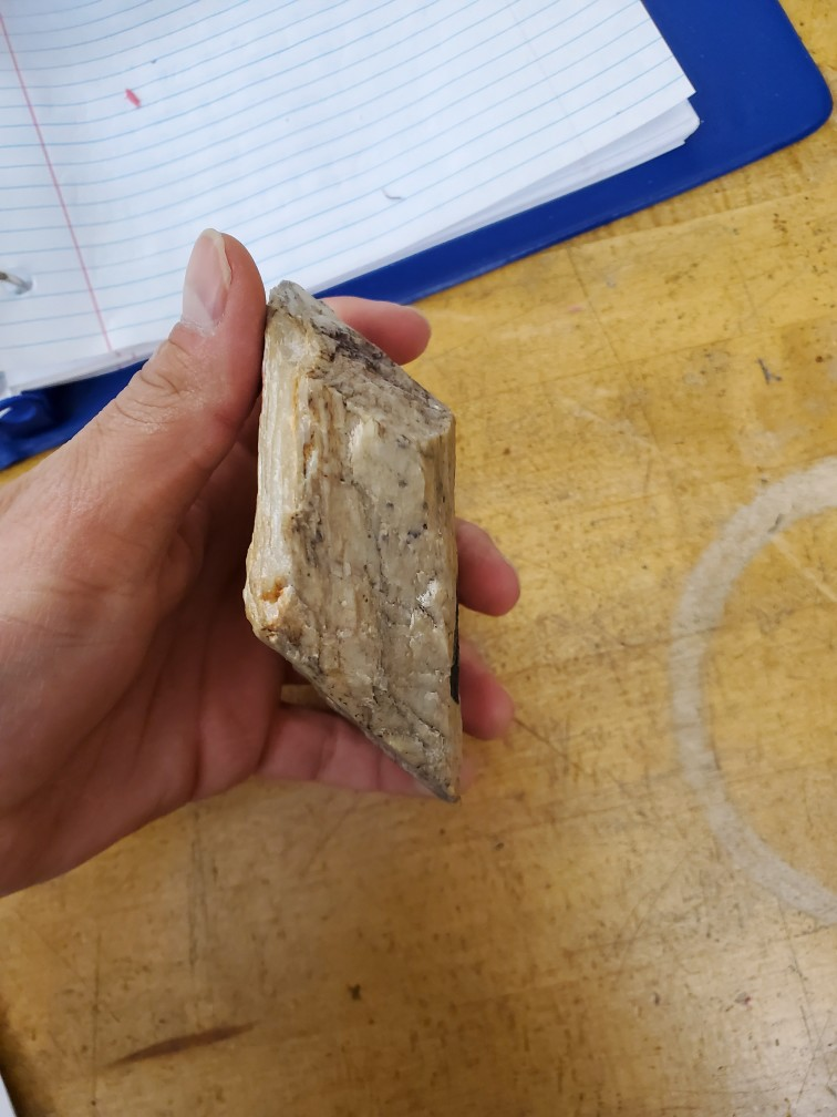 Solved 2. Sample A1 is a quartzite, the metamorphic