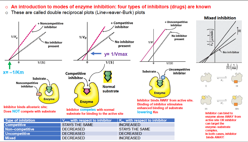 Types Of Enzyme Inhibition slidedocnow