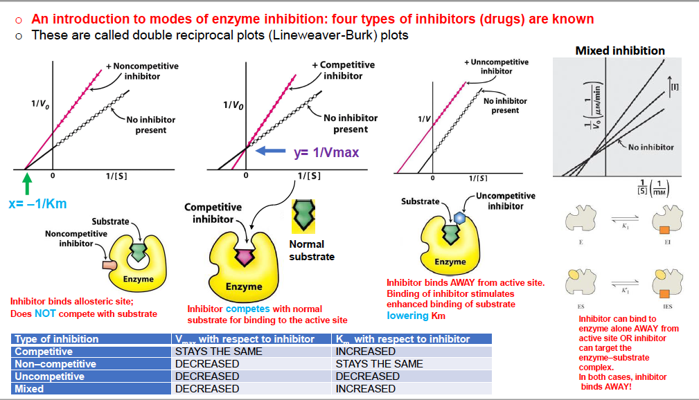 Shedding inhibitions pt9. Enzyme inhibitors. Competitive inhibitor. Types of inhibition. Plasma Enzymes.