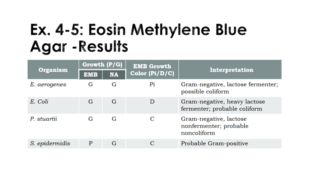 You Will Spot Inoculate One Eosin Methylene Blue Agar Chegg 