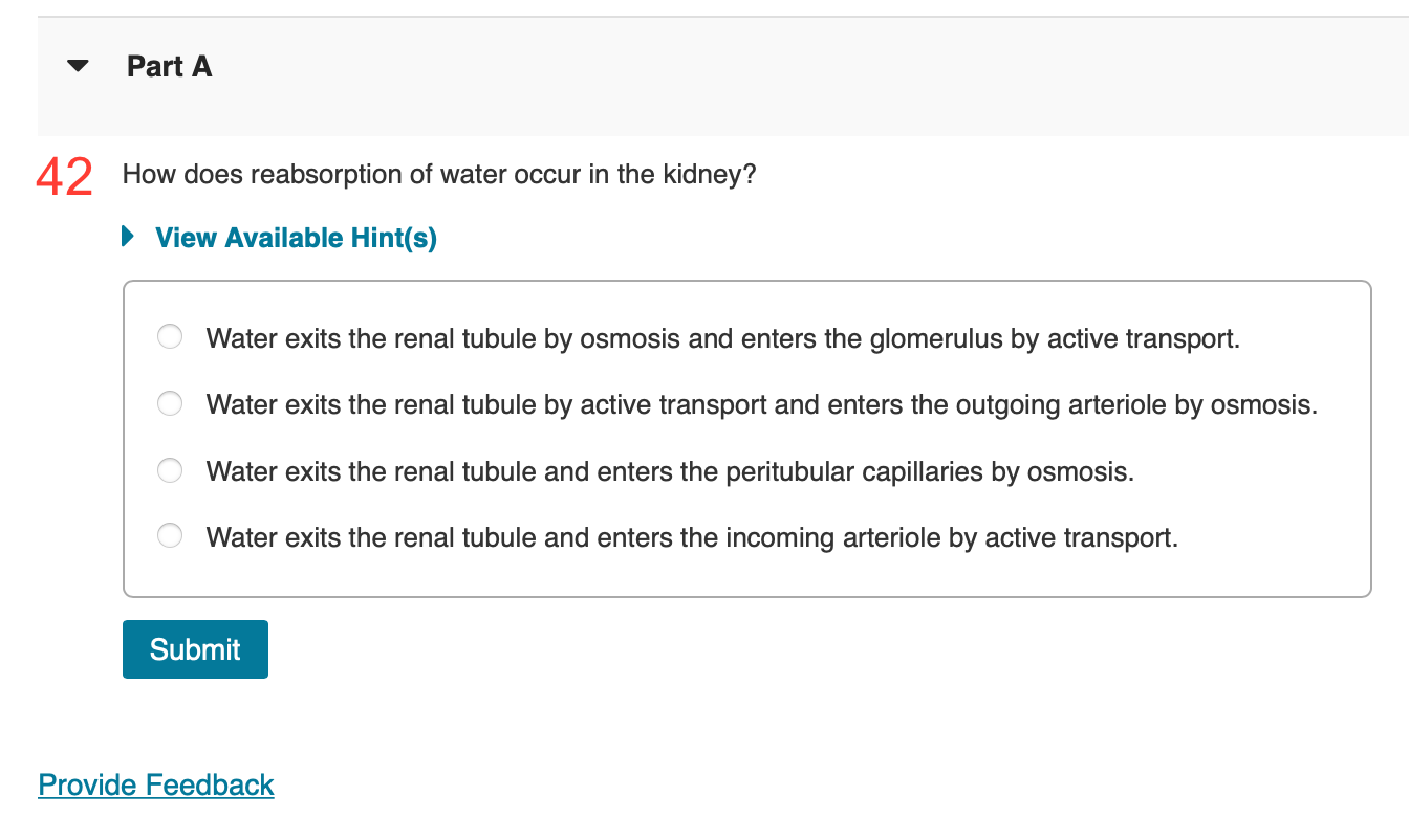 Solved How does reabsorption of water occur in the kidney?