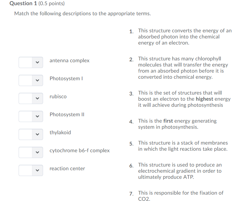 Solved Question 1 (0.5 points) Match the following | Chegg.com