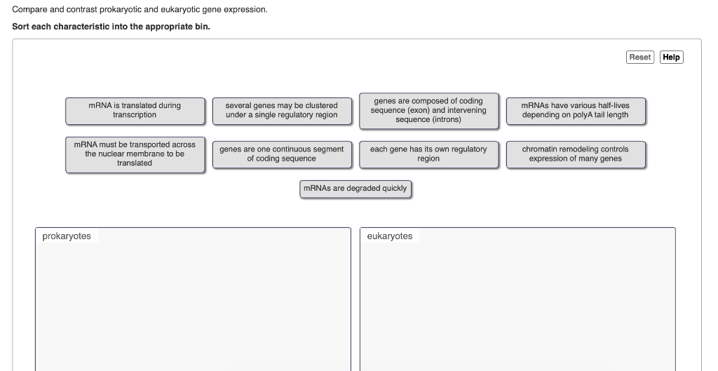 Solved Compare and contrast prokaryotic and eukaryotic gene | Chegg.com