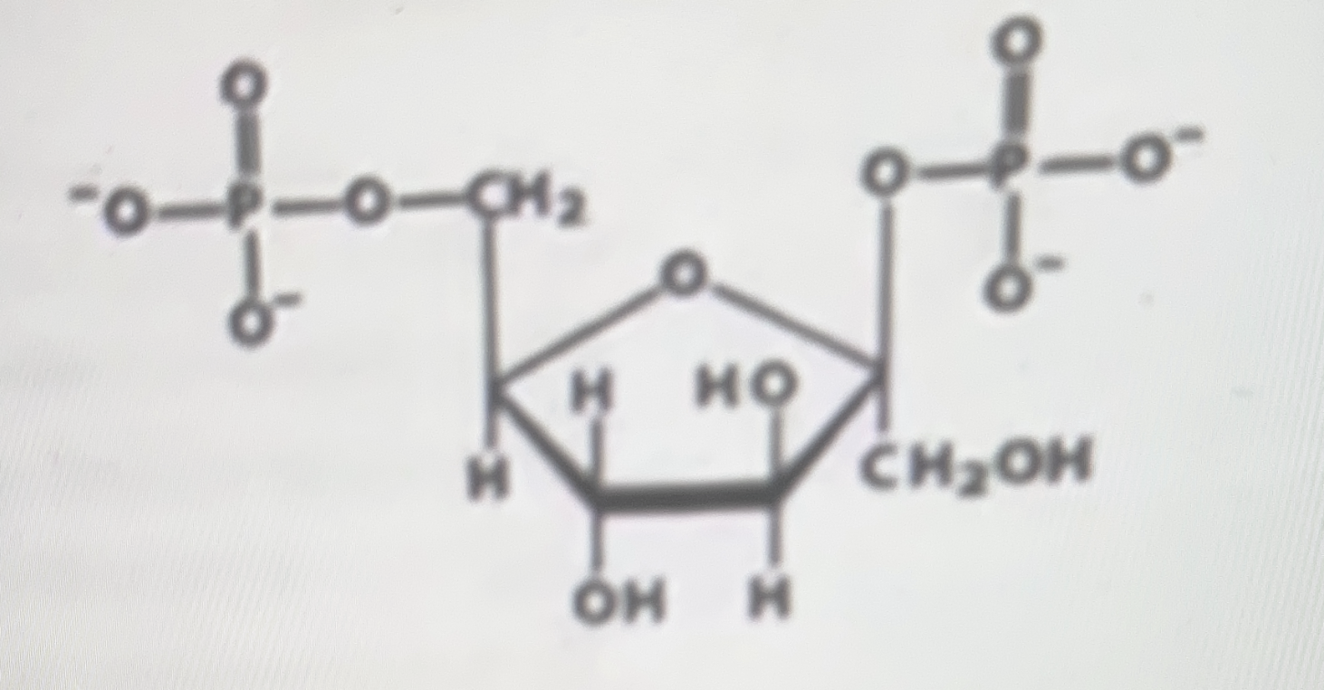 Solved what molecule is this? | Chegg.com