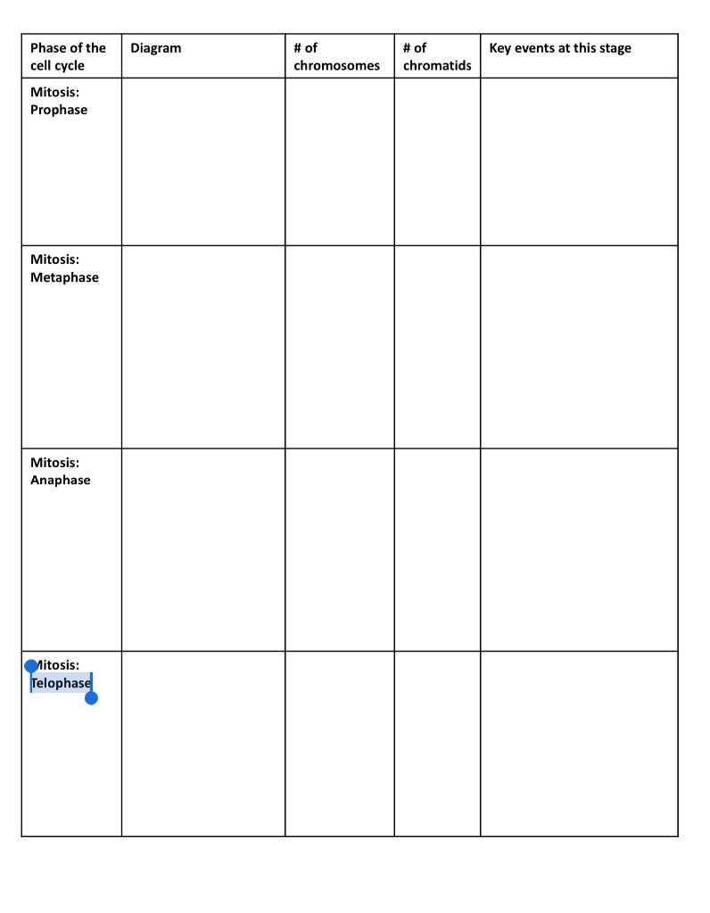 Solved Mitosis and Meiosis Worksheet The goal of this Chegg com Solved Mitosis and Meiosis Worksheet The goal of this Chegg com