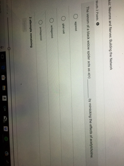 Solved Worth 2 Points。 Which one of the following is NOT a | Chegg.com