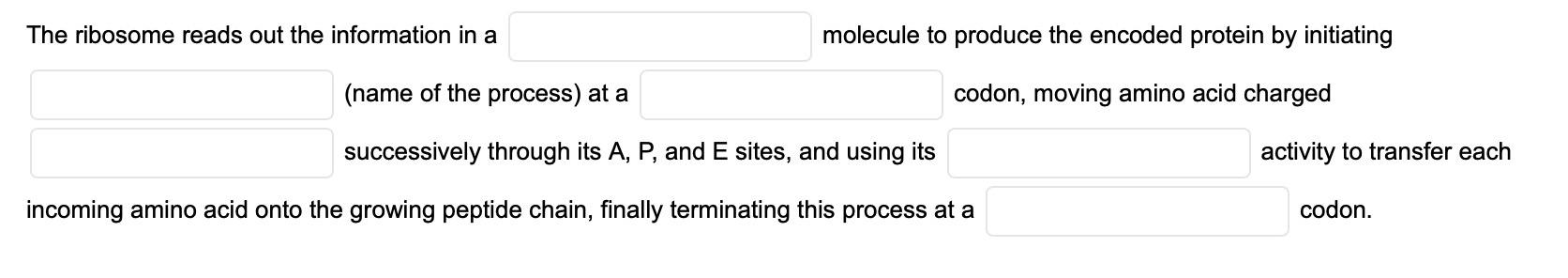 Solved The ribosome reads out the information in a molecule | Chegg.com