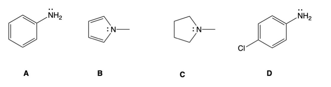 Solved Order the nitrogen compounds from the least basic to | Chegg.com