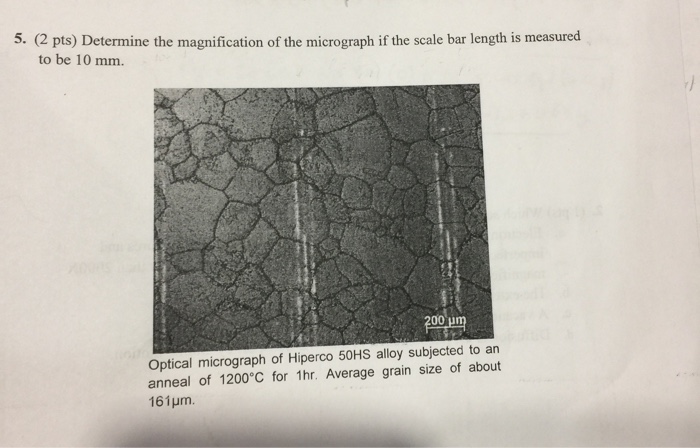 Solved Determine the magnification of the micrograph if the | Chegg.com