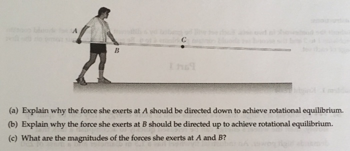 Solved Problem 3. A Pole Vaulter Is Carrying A Pole Of Mass | Chegg.com