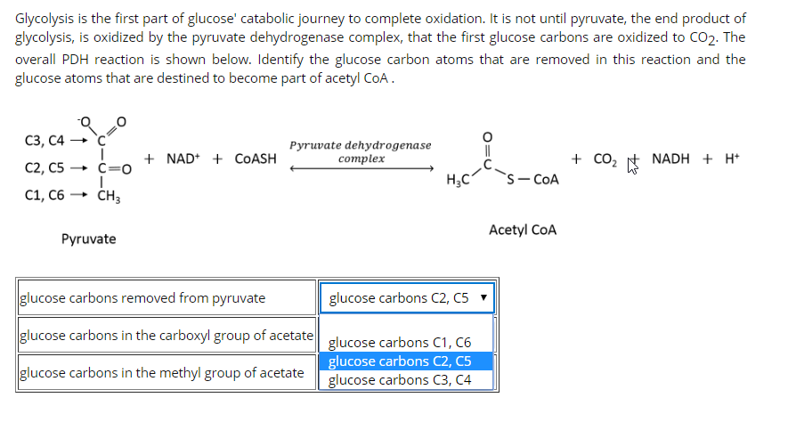 list the end products of the complete oxidation of glucose