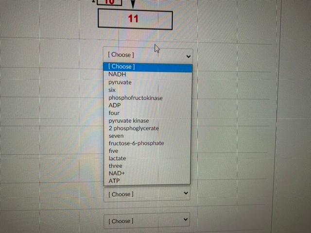 Solved Choose the best answer for each of the blanks form | Chegg.com
