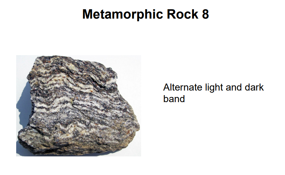 Metamorphic Rock 8
Alternate light and dark
band