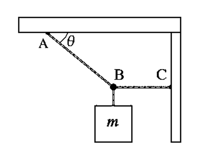 Solved Find the tension in the two cords shown in | Chegg.com