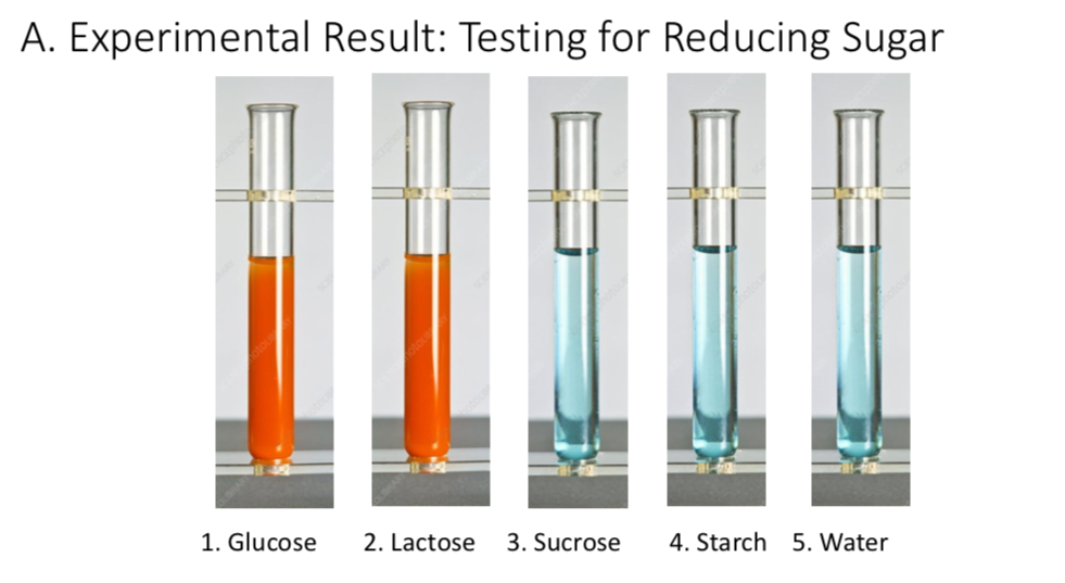 A. Experimental Result: Testing for Reducing Sugar 1. | Chegg.com