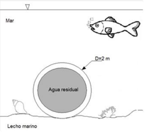 Mar Lecho marino