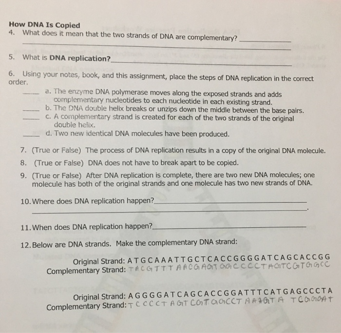 Solved How DNA Is Copied 4. What does it mean that the two